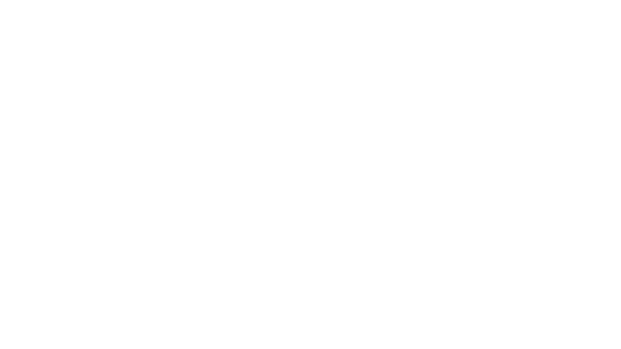 icon-Boutique